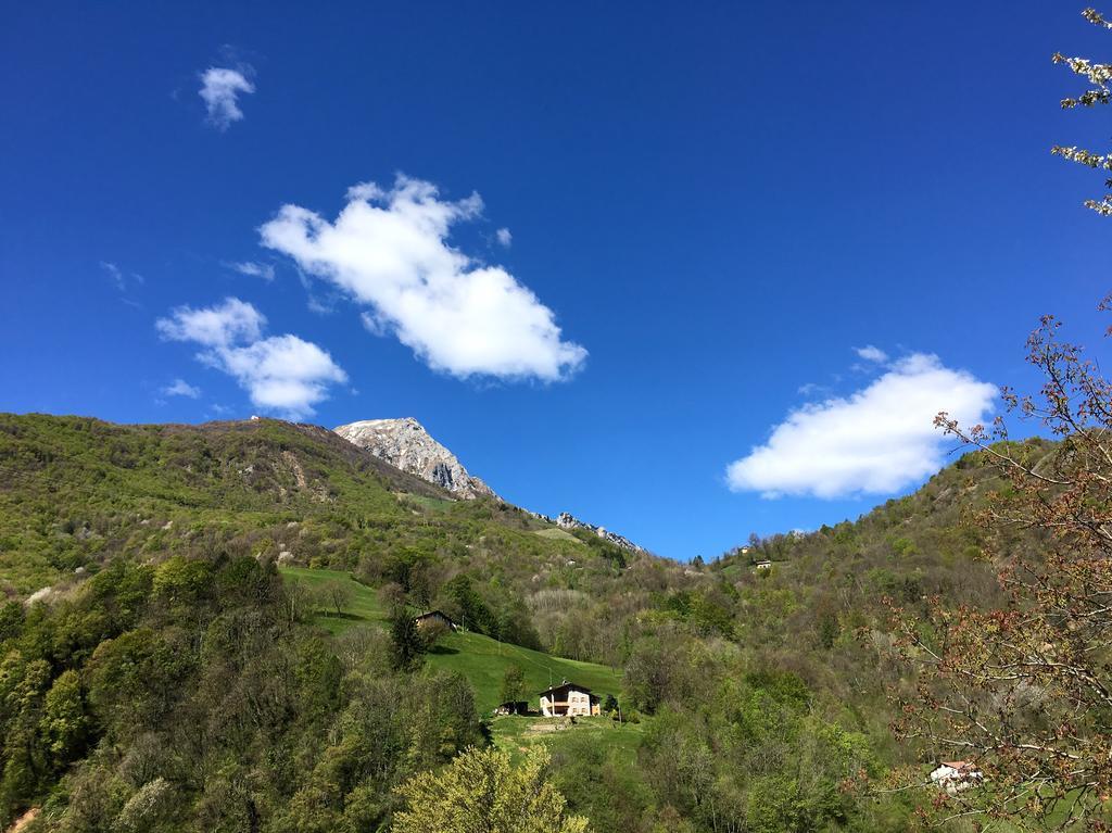 Agriturismo Il Mirtillo B,B Villa Pasturo Exterior foto